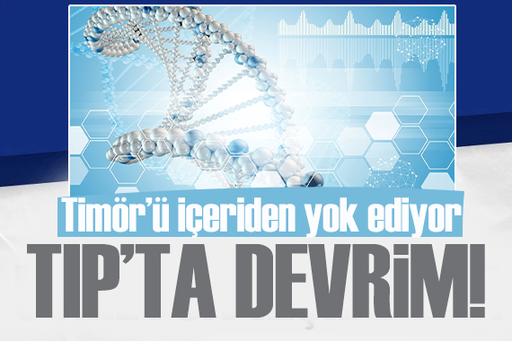 Tümörü kökünden yok eden akıllı bakteriler geliştirildi