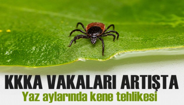 Yaz aylarında kene tehlikesi: KKKA vakaları artışta!