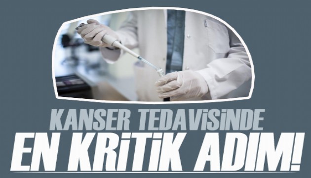 Kanser tedavisinde kritik adım: Erken tanı ve tarama