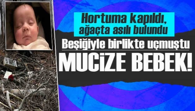 Hortuma kapılan 4 aylık bebek, yıkılan bir ağacın üzerinde sağ bulundu!