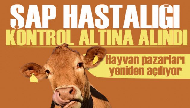 Şap hastalığı kontrol altına alındı! Hayvan pazarları yeniden açılıyor