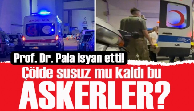 Prof. Dr. Pala 2 askerin şehit olmasına isyan etti: Çölde susuz mu kaldı bu askerler?