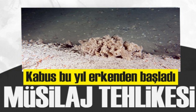 Müsilaj kabusu geri döndü! 'Tüm Marmara'ya yayılabilir'