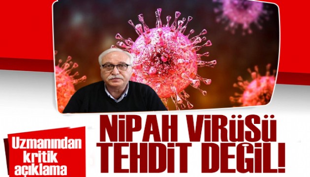 Uzman isim: Nipah virüsü Türkiye için tehdit değil