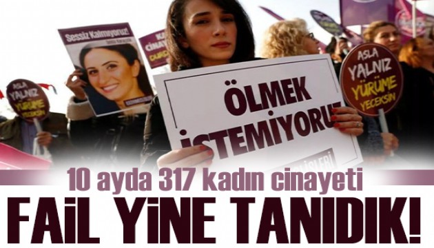 10 ayda 317 kadın cinayeti: Fail yine en yakındaki erkek