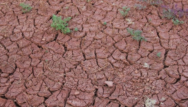 Dünya yeni bir krizle karşı karşıya! Toprakta ve havada bulunuyor!