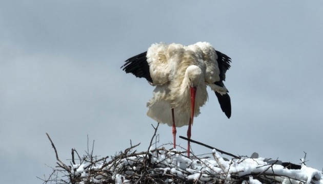 Leylekler Vadisi'ni kar kapladı!