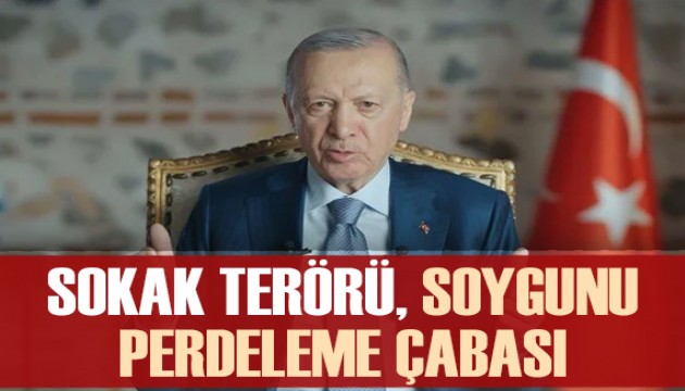 Cumhurbaşkanı Erdoğan: Sokak terörü soygunu perdeleme çabasıdır