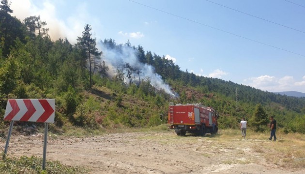 Bursa'da orman yangını!