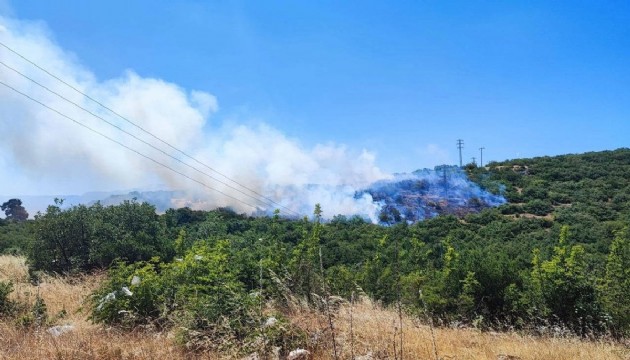 Bursa'da orman yangını!