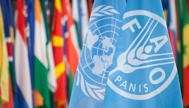 Türkiye, FAO Konsey Üyeliğine seçildi