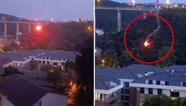 Beykoz'da orman yangınına neden olan şüpheli tutuklandı