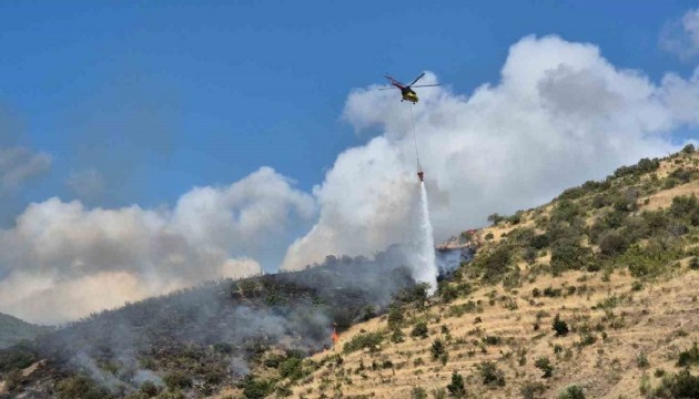 Tekirdağ'da makilikte yangın!