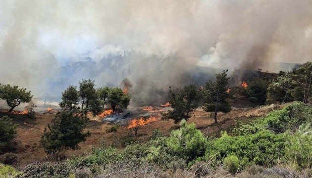 Çanakkale'deki yangının çıkış nedeni belli oldu
