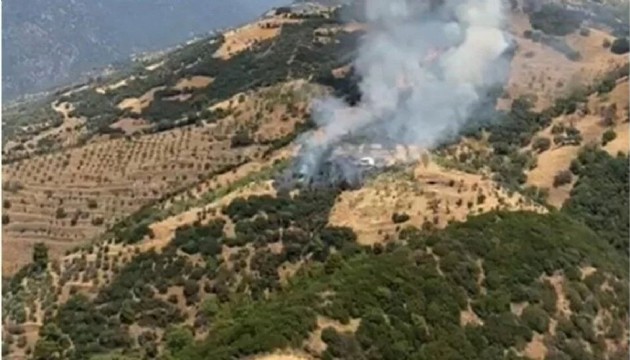 Zeytinlik yangını: Müdahale sürüyor
