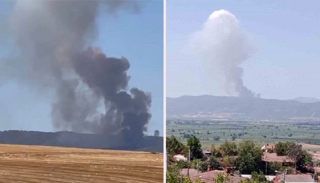 Bursa'da orman yangını