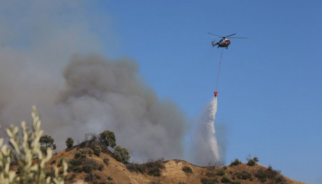 Aydın'da orman yangını sürüyor