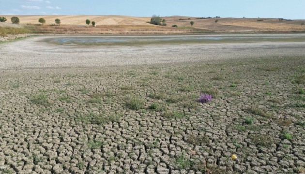Kuraklık Tekirdağ'ı vurdu!
