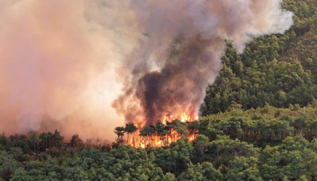 Hükümetten dünyaya acil yardım çağrısı