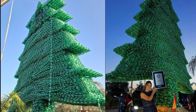 Pet şişeden sedir ağacıyla Guinness'e girdi