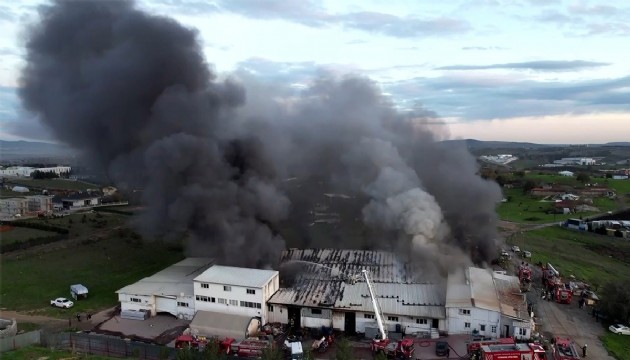 Tuzla'da karton fabrikasında yangın!