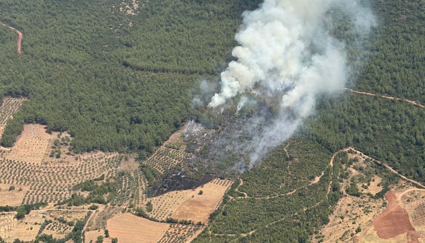 Muğla'da yangın ormanlık alana sıçradı