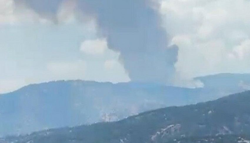 Aydın'da orman yangını