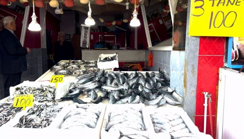Doğu Karadeniz'de palamut bereketi