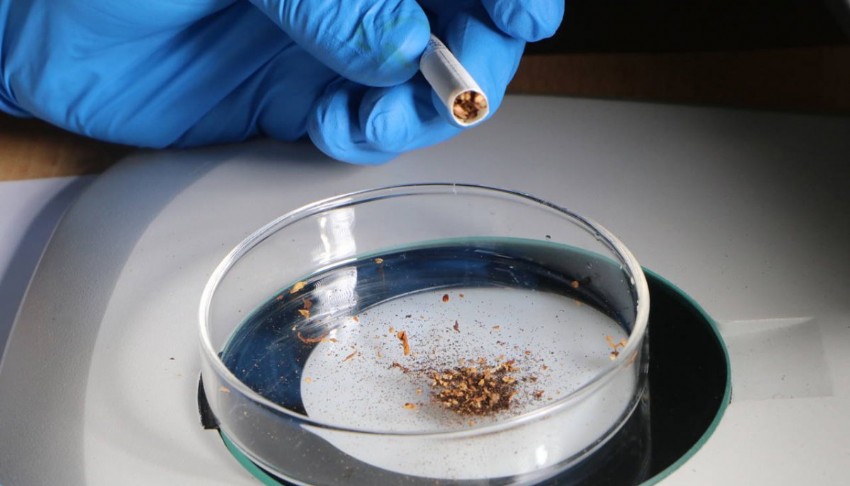 Sigara içenler dikkat! Tütünün içinde mikroplastik tespit edildi