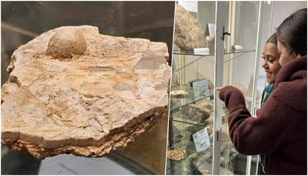 100 milyon yıllık fosil inci bulundu