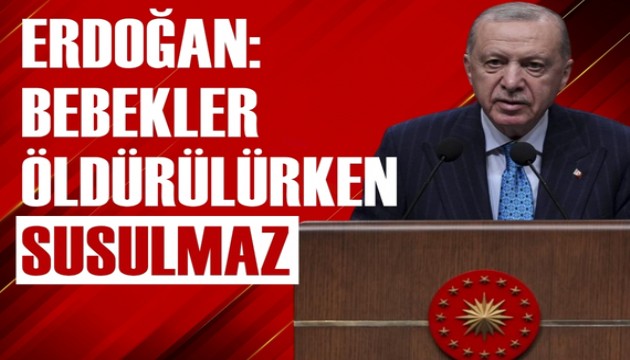 Erdoğan: Uluslararası kurumlar, İsrail'i durdumakta yetersiz kalıyor