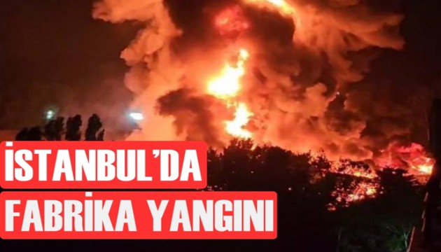 İstanbul'da fabrika yangını