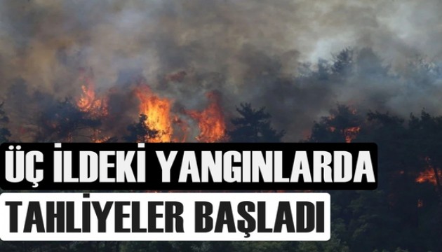 Çanakkale, İzmir ve Malatya'da orman yangını