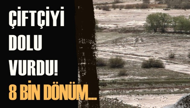 Çiftçiyi dolu vurdu