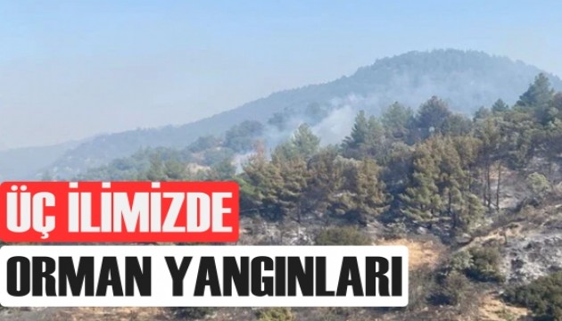 Bartın, Denizli ve Karabük'te orman yangınları
