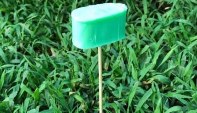 Bahçenize bu yüzden 1 kalıp sabun bırakmalısınız! Faydası saymakla bitmiyor