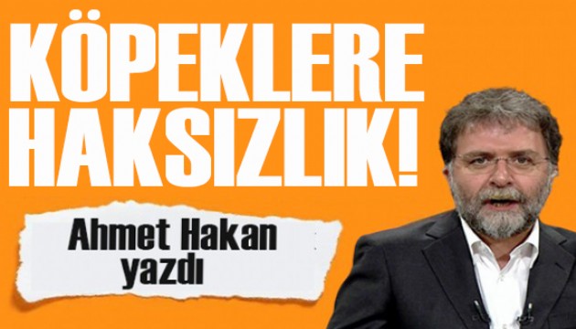 Ahmet Hakan yazdı: Köpek taklidi yapan Hatice'nin köpeklere zerre kadar yararı yok!