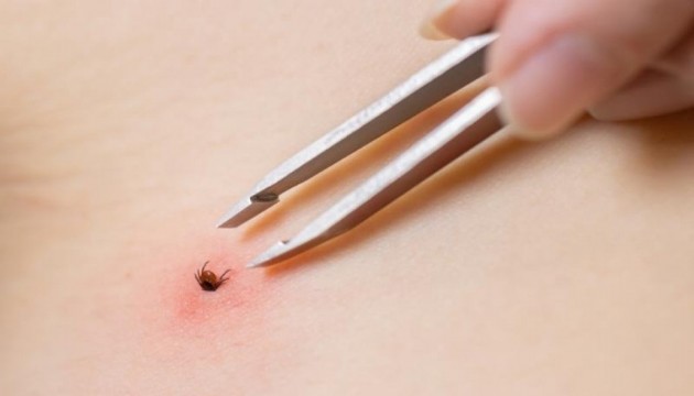 Sıcaklar başladı, kene vakaları arttı: İşte uzman isimden tüm merak edilenler...