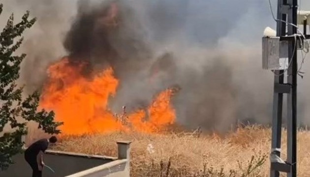 İstanbul'da buğday tarlasında korkutan yangın