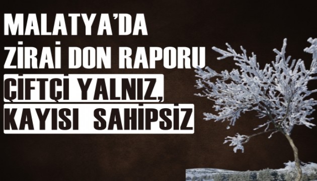 Malatya'daki zirai don felaketi raporu...