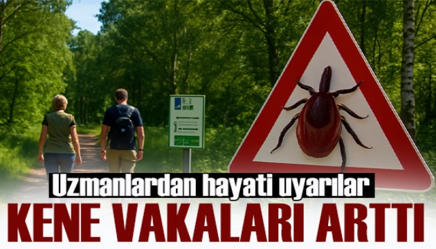 Uzmanlardan hayati uyarılar! Yaz sıcaklarıyla birlikte kene vakaları arttı