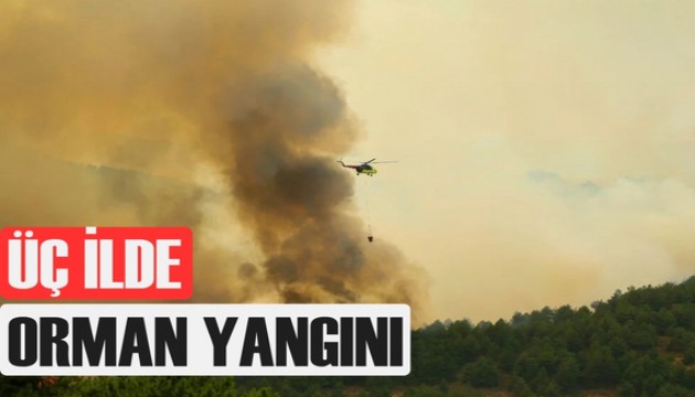 Üç ilde orman yangını