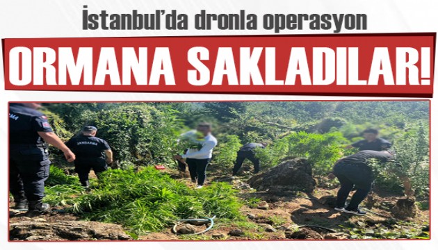 İstanbul'da dronla operasyon: Ormana sakladılar!