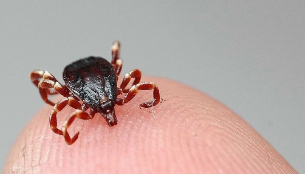 Sağlık Bakanlığı'ndan kritik uyarı