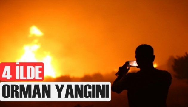 4 ilde orman yangını