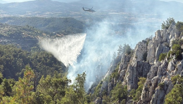Orman yangını kontrol altına alındı