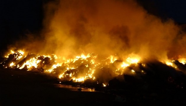 İzmir'deki yangın havadan görüntülendi