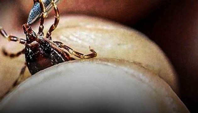 O ilde KKKA tehlikesi büyüyor!