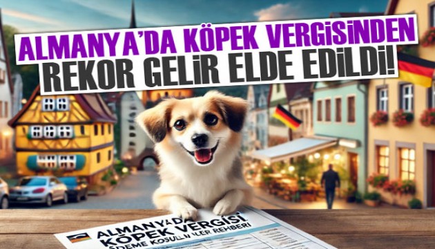 Almanya'da belediyeler 2023'te köpek vergisinden rekor gelir elde etti