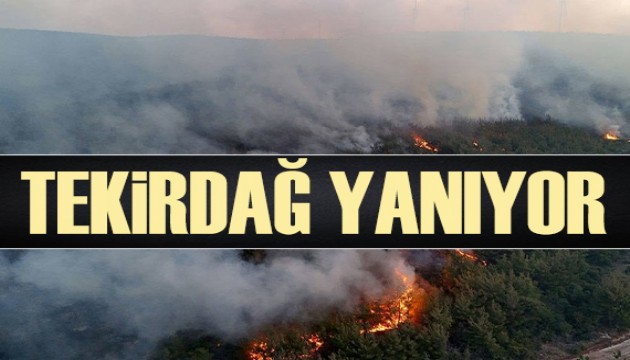 Tekirdağ'da çıkan orman yangını Çanakkale'ye sıçradı